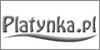 dekoracje lubne bydgoszcz alejki